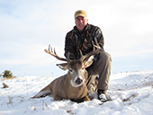 Whitetail Deer