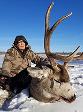 Mule Deer 2