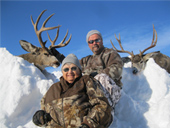 Mule Deer 6