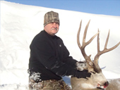 Mule Deer 7