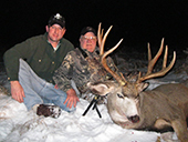 Mule Deer 5