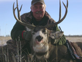 Mule Deer 8