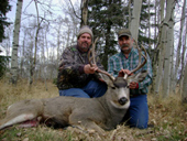 Mule Deer 12