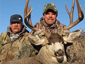 Mule Deer 13