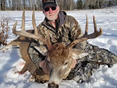 Whitetail Deer