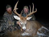 Whitetail Deer