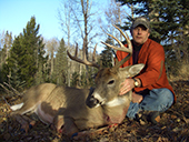Whitetail Deer
