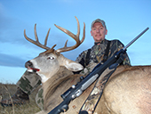 Whitetail Deer