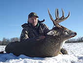 Whitetail Deer