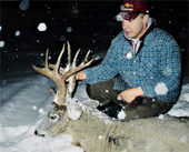 Whitetail Deer