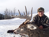 Whitetail Deer