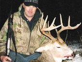 Whitetail Deer